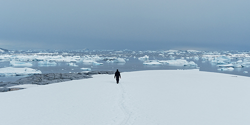 Mireille Delprat 'Exposition Antarctique'